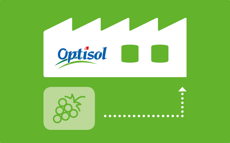 Optisol Herstellungsprozess – Optisol Vétroz